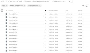 FLASH FILE CATERPILLAR 2022